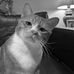 Jerry Dee - Facebook