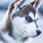 Jerry Deleon - @jerrydeleon6108 - Instagram