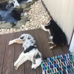 Jerry Dellinger - @jerry.dellinger - Instagram