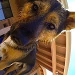 Jerry Dellinger Jr. - @dellingerjr.jerry - Instagram