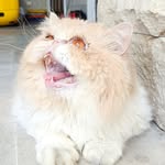 Jerrydenisu - @piu_jerrydenisu - Instagram