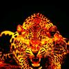 Jerry Diamond - @jerry136731408738 - TikTok