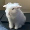 Jerry😌 - @jerry.dimitrov - TikTok