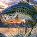 Jerry Diron - Facebook