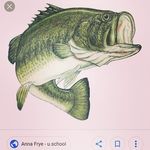 Jerry Diron - @dironjerry - Instagram