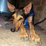 Jerry - @jerry_ditto - Instagram