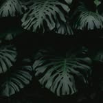 Jerry Dorris - @jerry.dorris24414 - Instagram