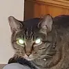 jerrydorris419 - @jerrydorris419 - TikTok