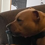 Jerry Downing - @jerrydowning1 - Instagram