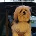 Jerry Driggers - Facebook