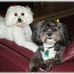 Jerry DuBose - Facebook