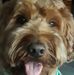 Jerry Duhon - Facebook