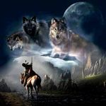 Jerry Dwyer - @jerrydwyer - Instagram