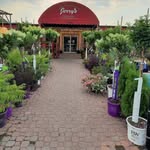 Jerrys Garden - @jerrysgardeneagan - Instagram