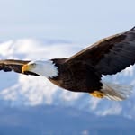 Jerry Eagle - @jerryeagle7 - Instagram