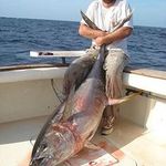 Jerry Lee Eastman - @jerryleeeastman - Instagram