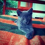 eller_jerry - @jerry.eller - Instagram