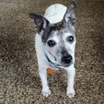 Jerry Ellerbrock - @jerryellerbrock - Instagram