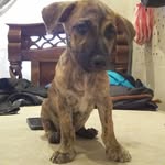 jëřřý êmäňűēł - @las_aventuras_de_jerry_emanuel - Instagram