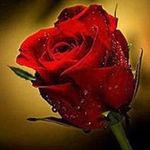 Jerry Ernest - @jerryernest1753 - Instagram