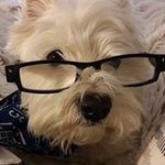 Gerry Fallon - @chesterbaby1 - Instagram