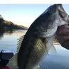jerryfalls671 - @jerryfalls671 - TikTok