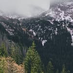 Jerry Farner - @jerry.farner - Instagram