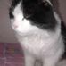 Jerry Ferrel - Facebook