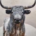 Jerry Ferrell - @jerryferrell54 - Instagram