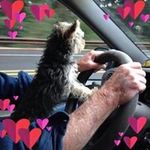 Jerry Fields - @jerry.fields.9678 - Instagram