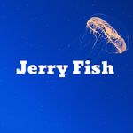 Jerry Fish【ネイルチップ販売】 - @nailtip_jellyfish - Instagram