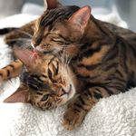 Flecky & Jerry - @fleckyandjerry - Instagram