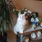 Jerry Foley - @jerryf2939 - Instagram