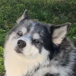 Jerry Foley - @jerry.foley.319 - Instagram