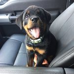 Jerry Fordham - @scary_jerry2022 - Instagram