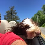 Jerry Fortier - @jerry.fortier - Instagram
