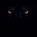 Jerry Frady - @fradyjerry - Instagram