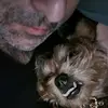 jerryfrankowski97 - @jerryfrankowski97 - TikTok
