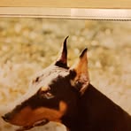 Jerry Frey - Facebook