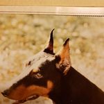 Jerry Frey - @jerryfrey42 - Instagram
