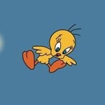 little Quacker - @friend_of_jerry - Instagram
