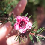 Jerry Gaffney - @gaffney.jerry - Instagram