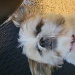 Jerry garvey - @princejerrythe1st - Instagram