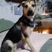 Jerry Geisler - Facebook