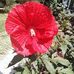 Jere Gilson - Facebook