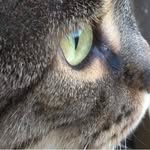Jerry Goolsby - @jiggy_1971 - Instagram