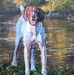 Jerry Gosnell - Facebook