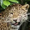 jerrygranger555 - @jerrygranger555 - TikTok