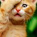 Gerald Greening - Facebook