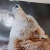 Jerry Grier - @jerry.grier6 - TikTok